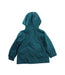 A Green Lightweight Jackets from Daks in size 5T for boy. (Back View)