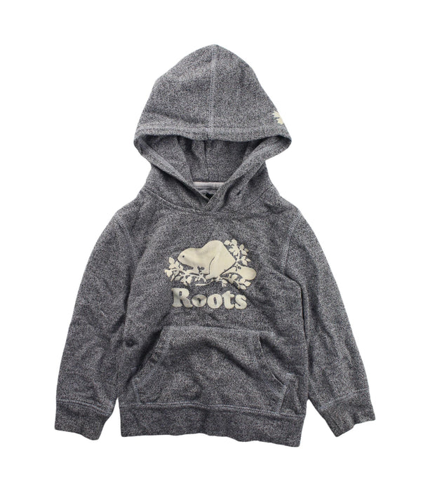 A Grey Hooded Sweatshirts from Roots in size 4T for boy. (Front View)