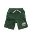 A Green Shorts from Roots in size 3T for boy. (Front View)