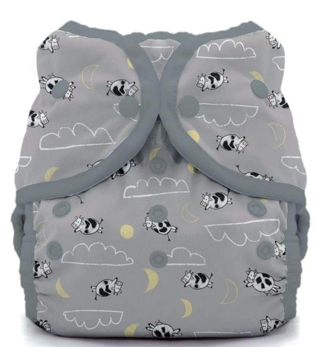 A Grey Cloth Diapers from Thirsties in size O/S for neutral. (Front View)