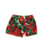 A Green Shorts from Dolce & Gabbana in size 2T for girl. (Back View)