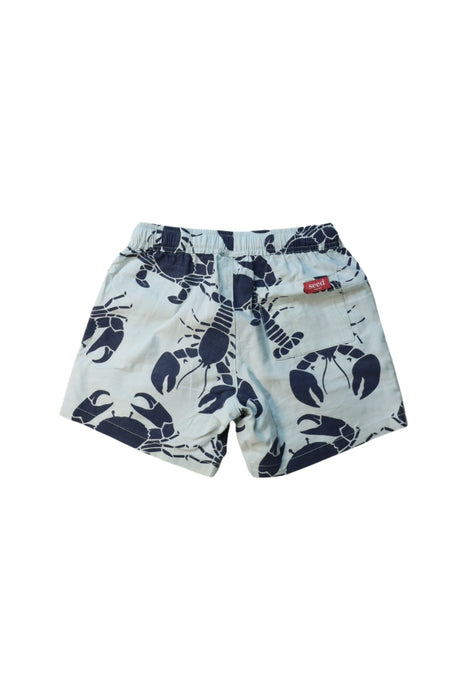 A White Shorts from Seed in size 3T for girl. (Back View)