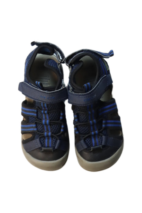 A Multicolour Sandals from Geox in size 5T for boy. (Back View)