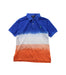 A Blue Short Sleeve Polos from Polo Ralph Lauren in size 10Y for boy. (Front View)