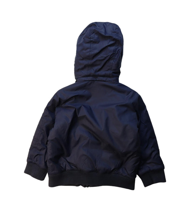 A Navy Lightweight Jackets from Burberry in size 3T for boy. (Back View)