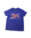 A Multicolour Short Sleeve T Shirts from Polo Ralph Lauren in size 4T for boy. (Front View)