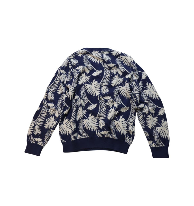 A Blue Knit Sweaters from Velveteen in size 6T for boy. (Back View)