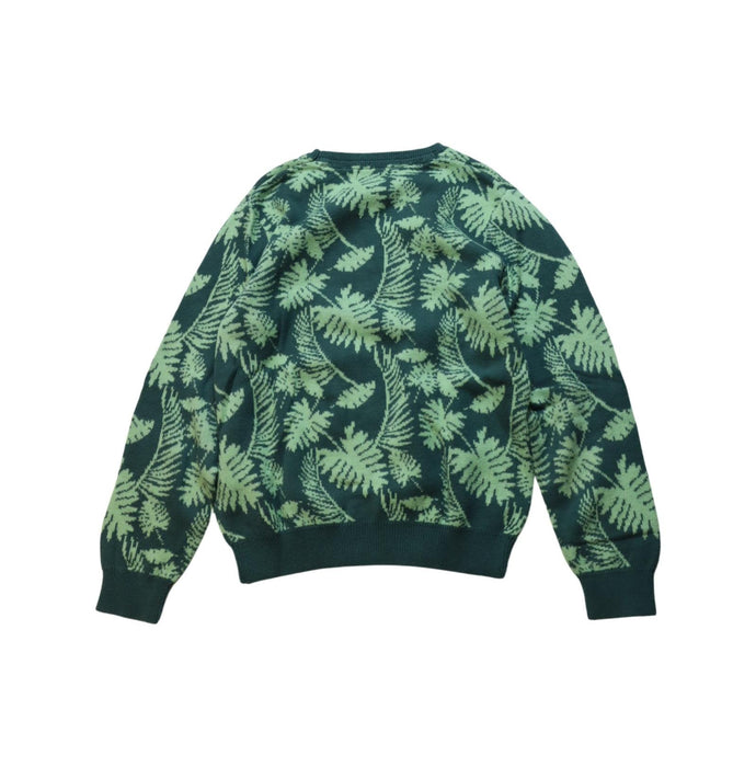 A Multicolour Knit Sweaters from Velveteen in size 6T for boy. (Back View)