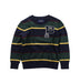 A Blue Knit Sweaters from Polo Ralph Lauren in size 4T for boy. (Front View)