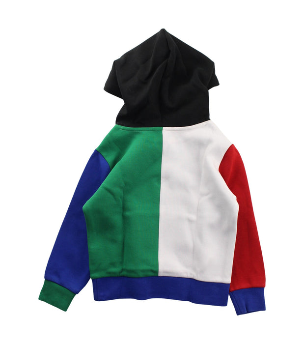 A Blue Hooded Sweatshirts from Polo Ralph Lauren in size 4T for boy. (Back View)