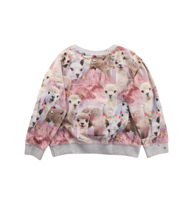 A Grey Crewneck Sweatshirts from Molo in size 12-18M for girl. (Back View)