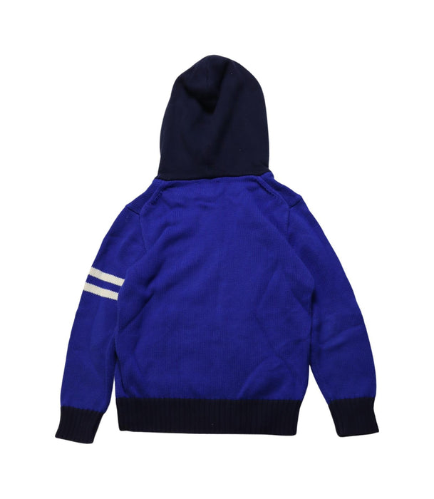 A Multicolour Knit Sweaters from Polo Ralph Lauren in size 5T for boy. (Back View)