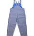 A Blue Long Overalls from COS in size 2T for neutral. (Back View)