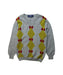 A Multicolour Knit Sweaters from GOBI in size 5T for boy. (Front View)