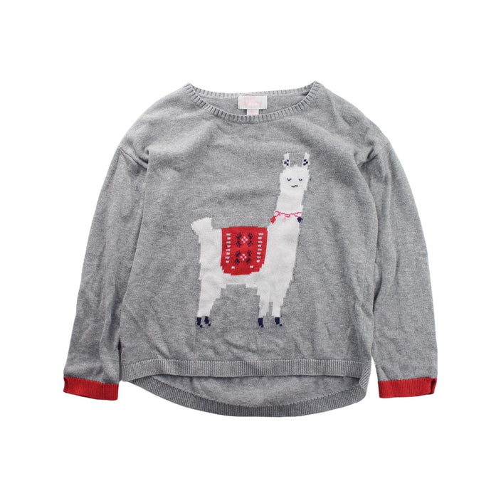 A Grey Knit Sweaters from Pumpkin Patch in size 5T for boy. (Front View)