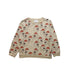 A Multicolour Crewneck Sweatshirts from Mainio Clothing in size 4T for neutral. (Front View)