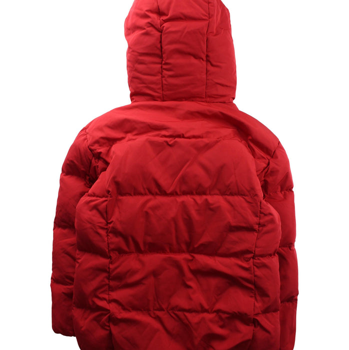 A Red Puffer/Quilted Jackets from Momonittu in size 10Y for neutral. (Back View)