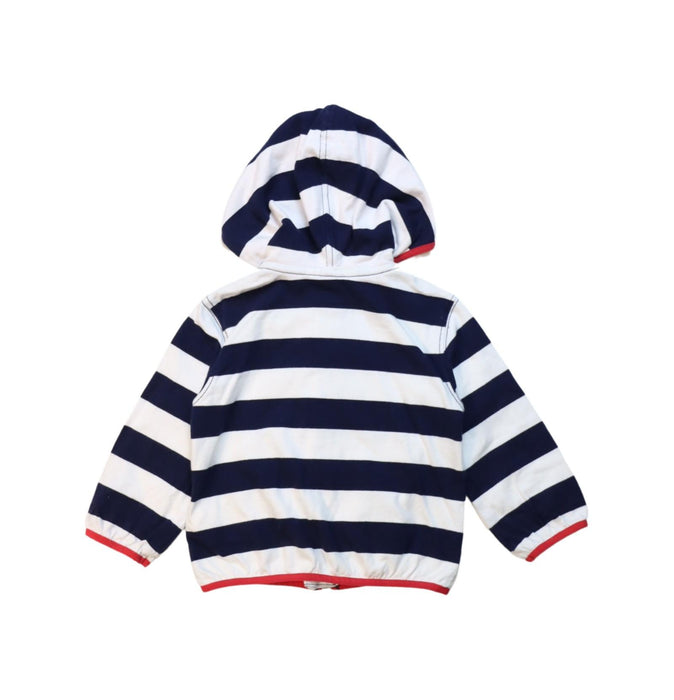 A Multicolour Lightweight Jackets from Ralph Lauren in size 12-18M for boy. (Back View)
