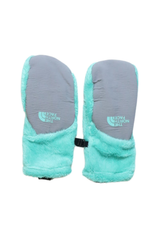 A Multicolour Gloves & Mittens from The North Face in size 6T for neutral. (Front View)
