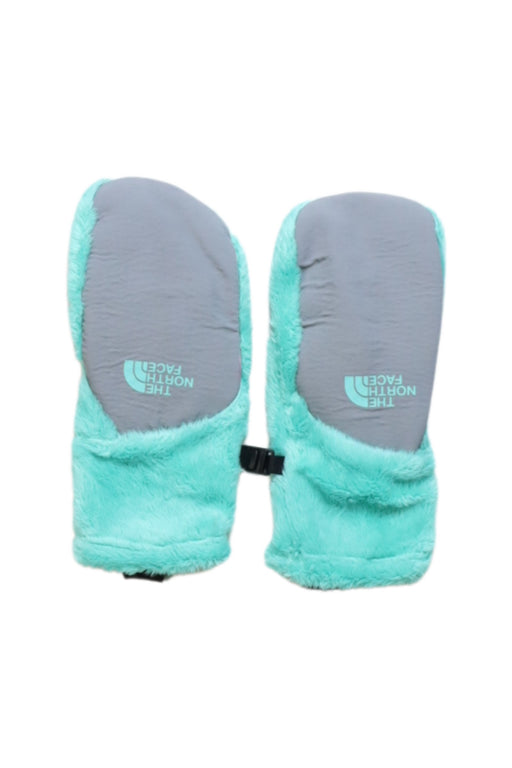 A Multicolour Gloves & Mittens from The North Face in size 6T for girl. (Front View)
