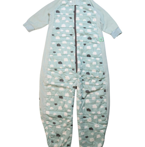 A Multicolour Sleepsacs from ErgoPouch in size 2T for neutral. (Front View)