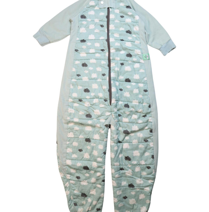 A Multicolour Sleepsacs from ErgoPouch in size 2T for neutral. (Front View)