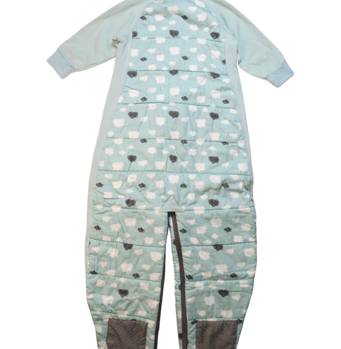 A Multicolour Sleepsacs from ErgoPouch in size 2T for neutral. (Back View)