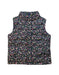 A Multicolour Outerwear Vests from Polo Ralph Lauren in size 5T for girl. (Front View)