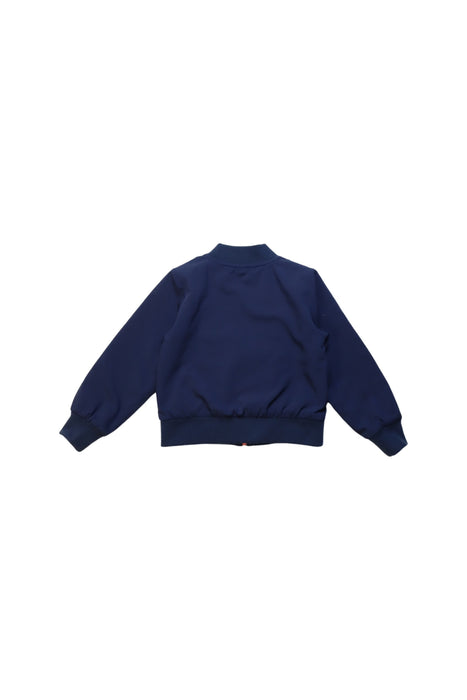 A Multicolour Lightweight Jackets from PL Kids in size 2T for girl. (Back View)