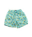 A Green Swim Shorts from Vilebrequin in size 4T for girl. (Front View)