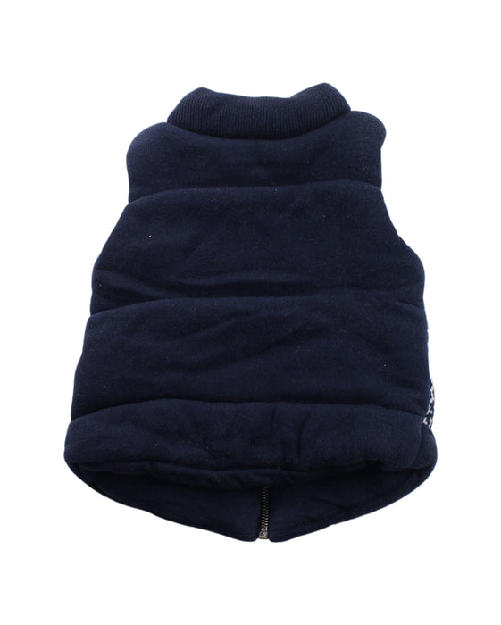 A Blue Outerwear Vests from Seed in size 12-18M for boy. (Back View)
