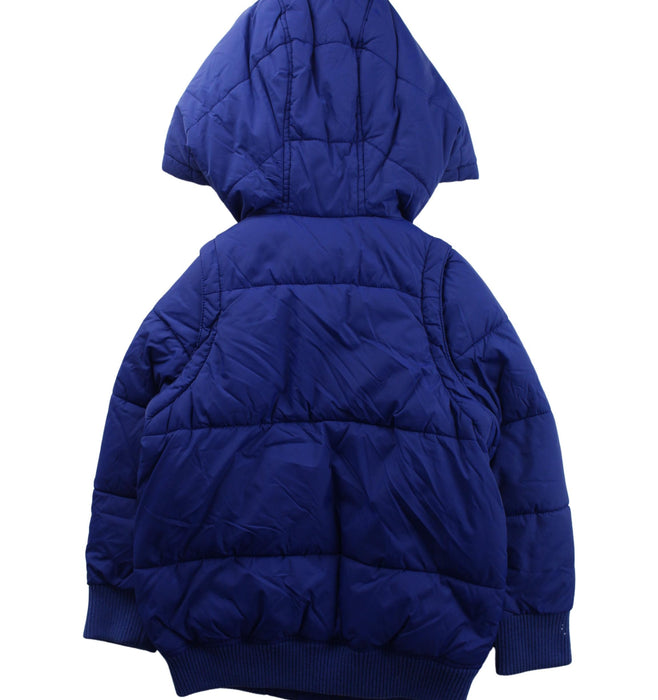 A Blue Puffer/Quilted Jackets from Jacadi in size 4T for boy. (Back View)