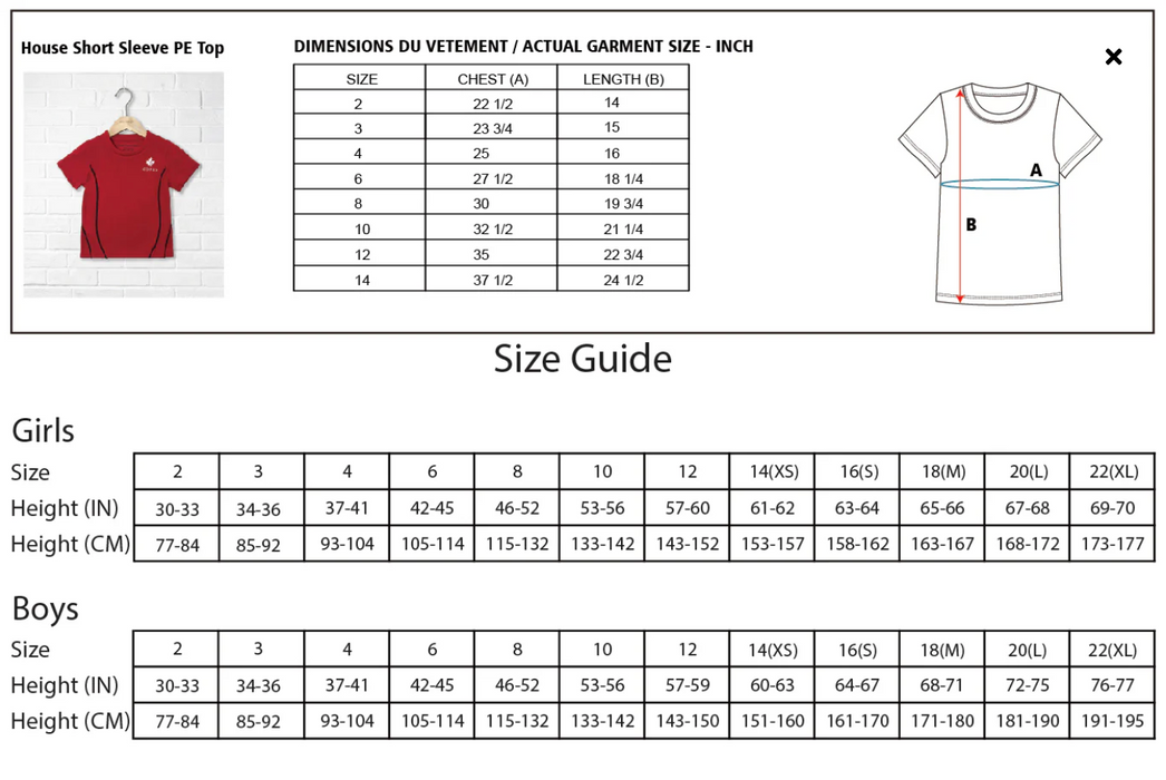 A Blue Short Sleeve T Shirts from CDNIS in size 2T for neutral. 