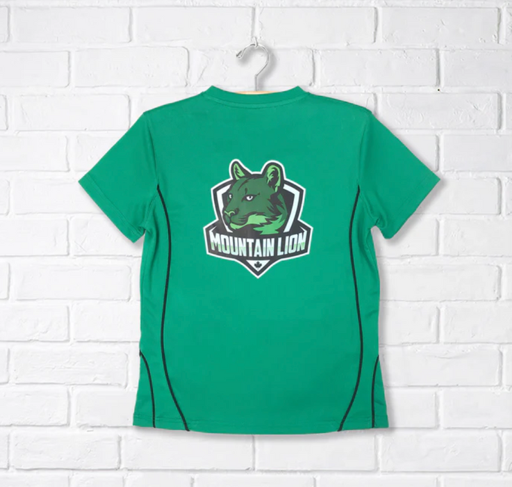 A Green Short Sleeve T Shirts from CDNIS in size 2T for neutral. (Back View)