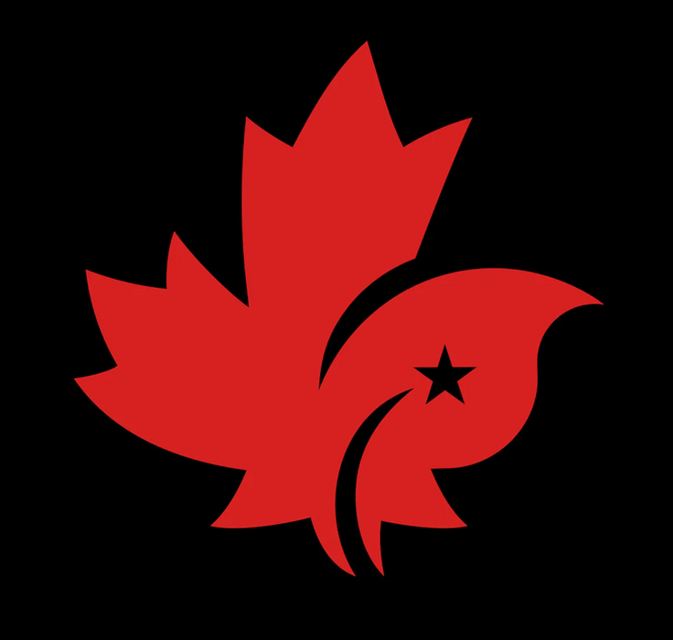 A Black Sweatpants from CDNIS in size 2T for neutral. 