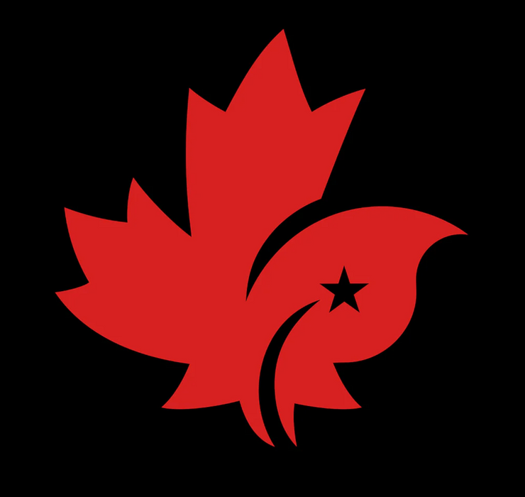 A Black Sweatpants from CDNIS in size 4T for neutral. 