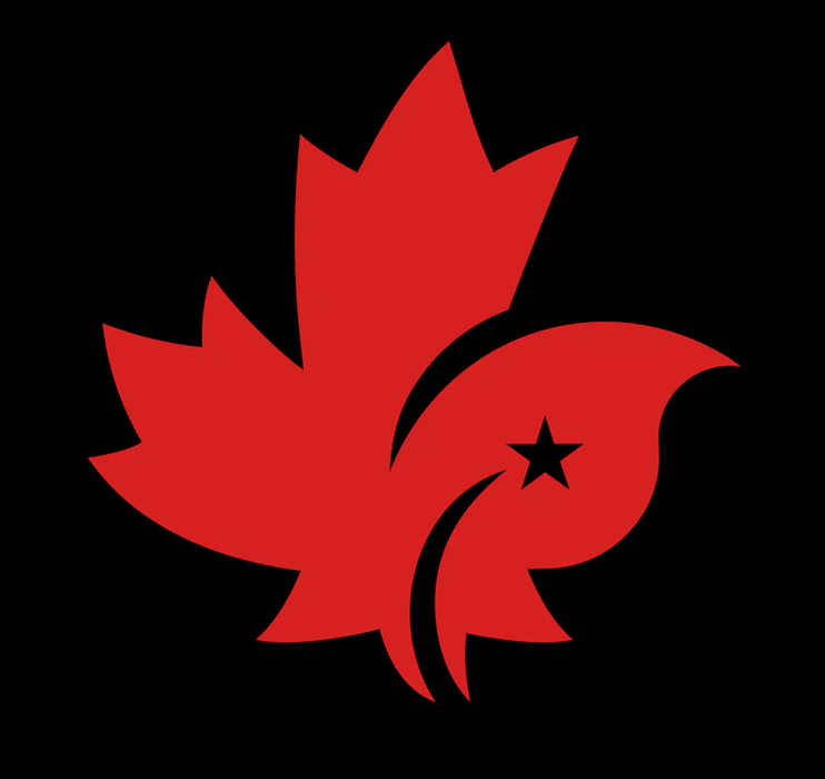 A Black Shorts from CDNIS in size 4T for neutral. 