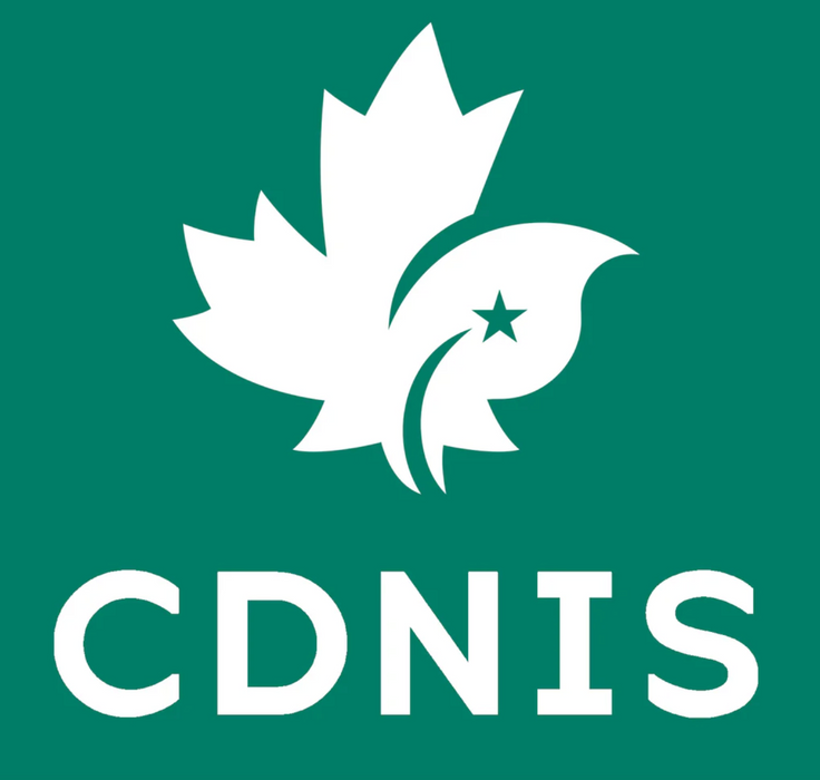 A Green Long Sleeve T Shirts from CDNIS in size 4T for neutral. 