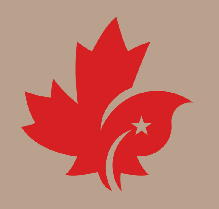 A Beige Casual Pants from CDNIS in size 4T for neutral. 