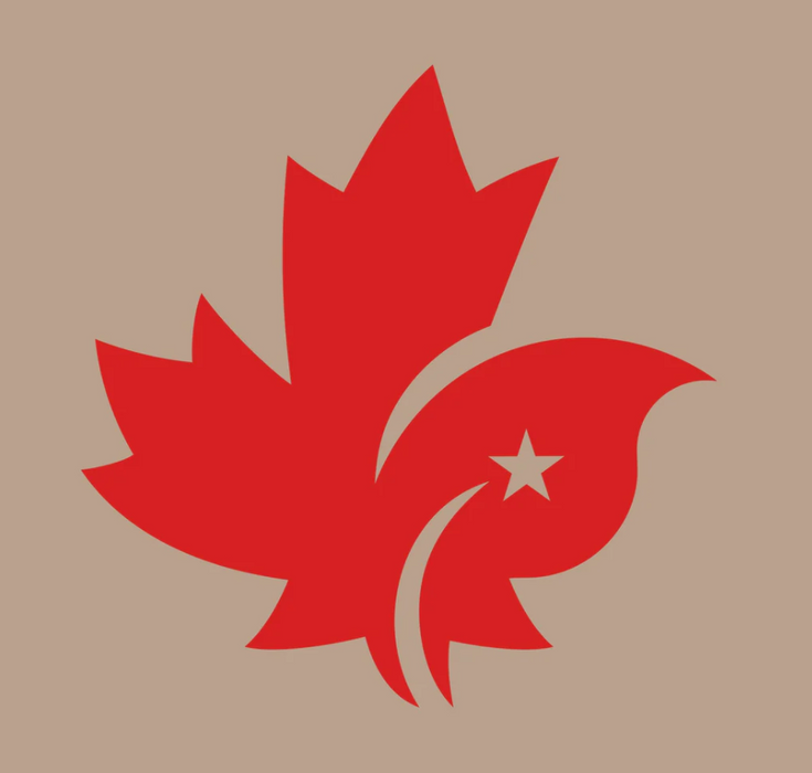 A Beige Shorts from CDNIS in size 4T for girl. 