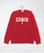 A Red Hooded Sweatshirts from CDNIS in size 4T for neutral. (Front View)