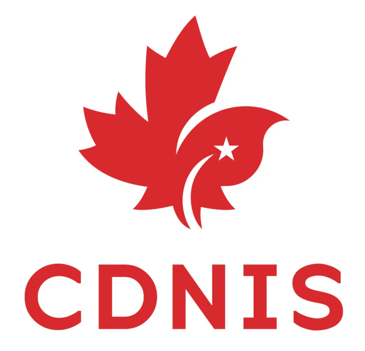 A White Long Sleeve Shirts from CDNIS in size 4T for girl. 