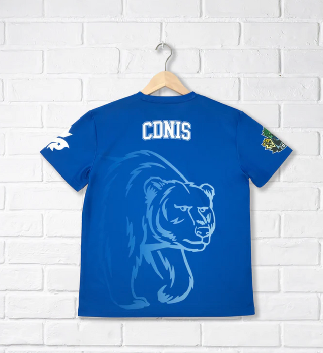 A Blue Short Sleeve T Shirts from CDNIS in size 4T for neutral. (Back View)