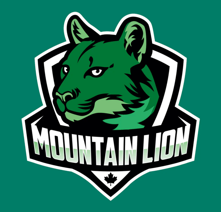 A Green Short Sleeve T Shirts from CDNIS in size 4T for neutral. 