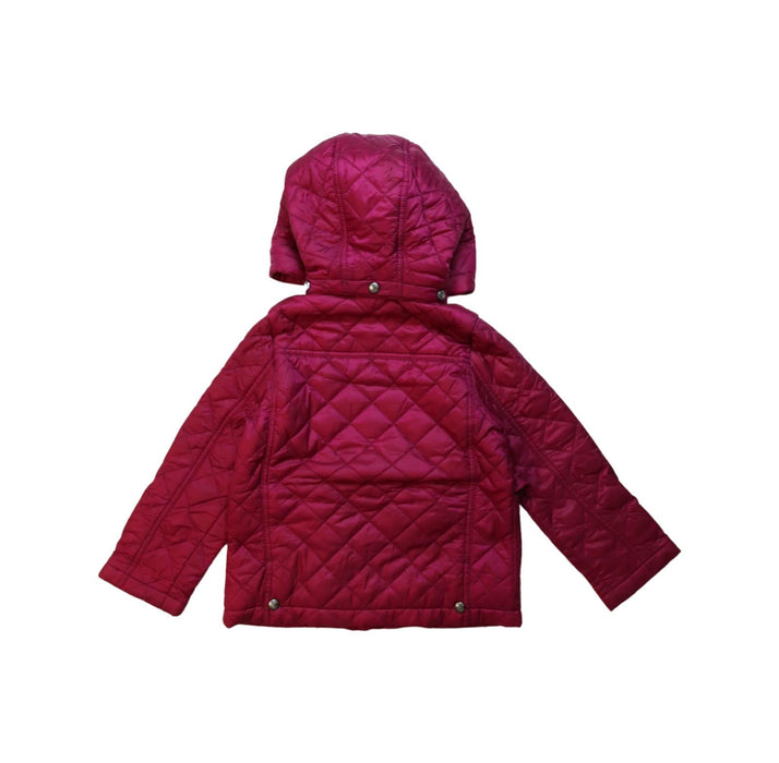 A Red Puffer/Quilted Jackets from Burberry in size 2T for neutral. (Back View)