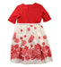 A Red Short Sleeve Dresses from I Pinco Pallino in size 6T for girl. (Back View)