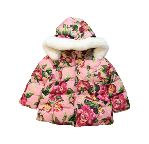 A Multicolour Puffer/Quilted Jackets from Dolce & Gabbana in size 6-12M for girl. (Front View)