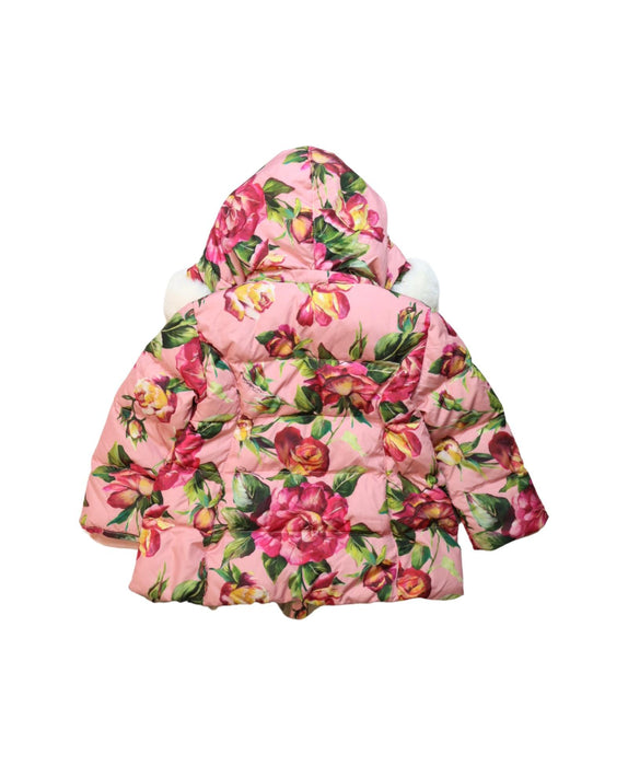 A Multicolour Puffer/Quilted Jackets from Dolce & Gabbana in size 6-12M for girl. (Back View)