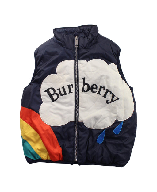 A Blue Outerwear Vests from Burberry in size 5T for boy. (Front View)