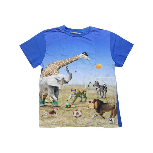 A Multicolour Short Sleeve T Shirts from Molo in size 10Y for boy. (Front View)